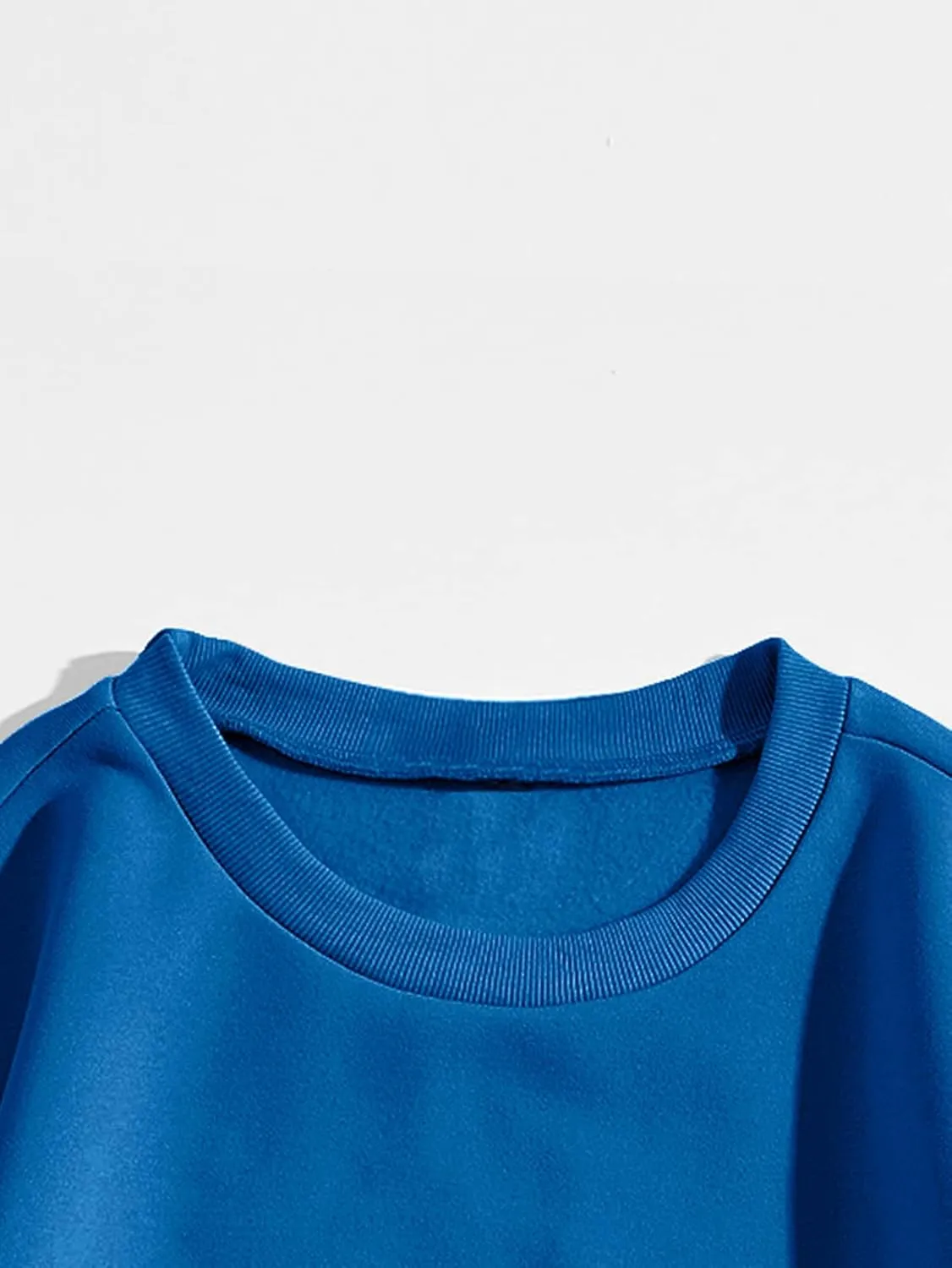 MakeMeChic Women's Casual Cute Oversized Long Sleeve Round Crew Neck Sweatshirt Pullover Top