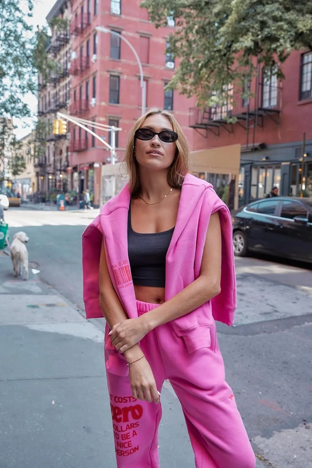 The Mayfair Group It Costs $0.00 To Be A Nice Person Pink Hoodie